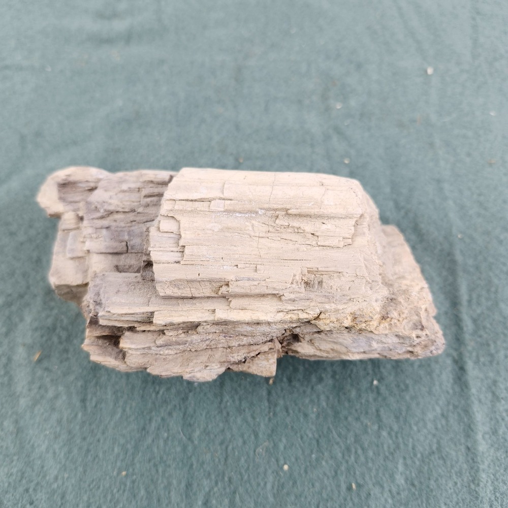 Petrified Wood Specimen 6"x3.5"x2.5" - Picture 2 of 8